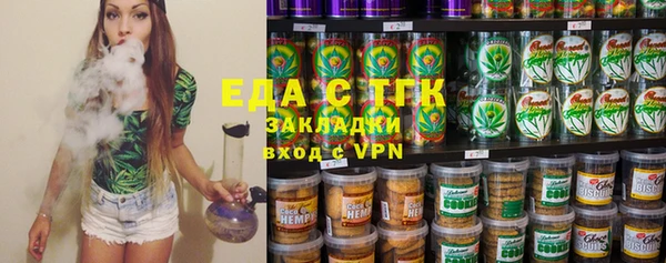 индика Аркадак