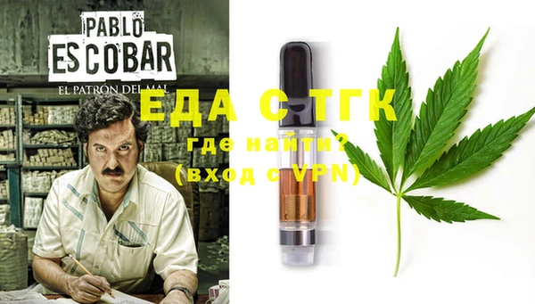 индика Аркадак